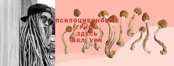 гашик Белокуриха