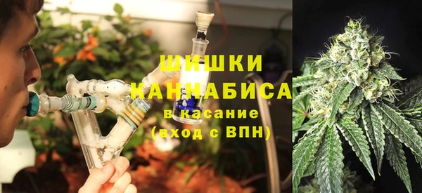 хмурый Богородицк