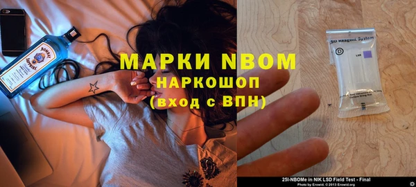 гашик Белокуриха